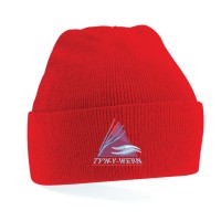 Tyn Y Wern School Beanie Hat